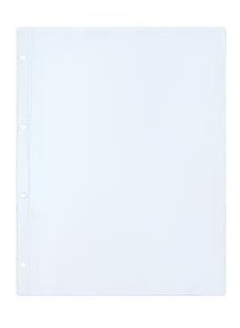 Лист на 1 банкноту (ПВХ, размер 240х313 Grande, ячейка 226х305мм)