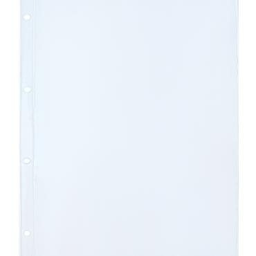 Лист на 1 банкноту (ПВХ, размер 240х313 Grande, ячейка 226х305мм)
